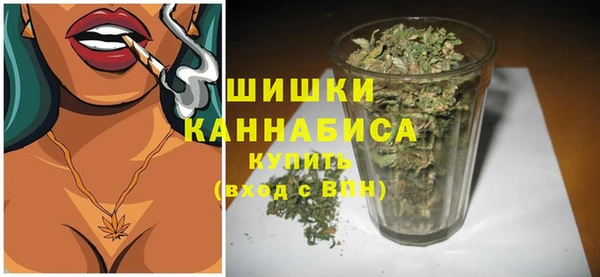 молекула духа Пестово