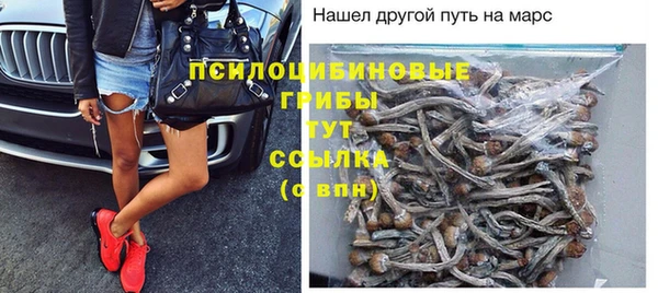 дурь Осинники
