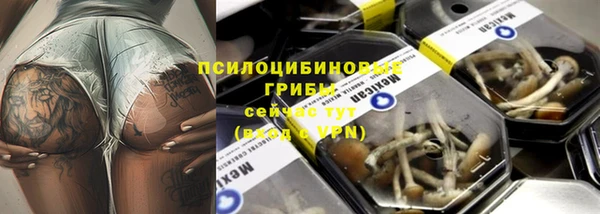 дурь Осинники